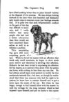 Thumbnail 0385 of The animal story book