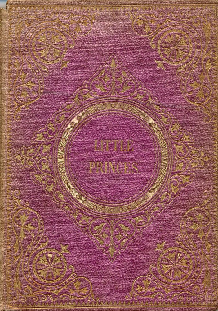Scan 0001 of Tales and anecdotes about little princes