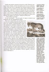 Thumbnail 0125 of Srpske narodne bajke