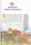 Thumbnail 0199 of Srpske narodne bajke
