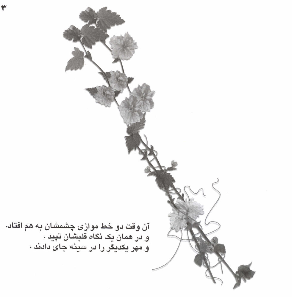 Scan 0005 of داستان دو خط