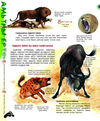 Thumbnail 0122 of Амьтдын ертөнц