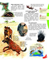 Thumbnail 0123 of Амьтдын ертөнц