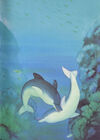 Thumbnail 0011 of Warum der kleine Delphin Purzelbäume schlägt