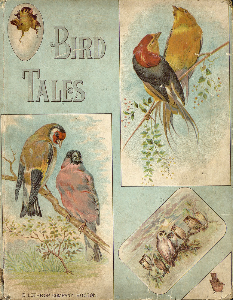 Scan 0001 of Bird tales