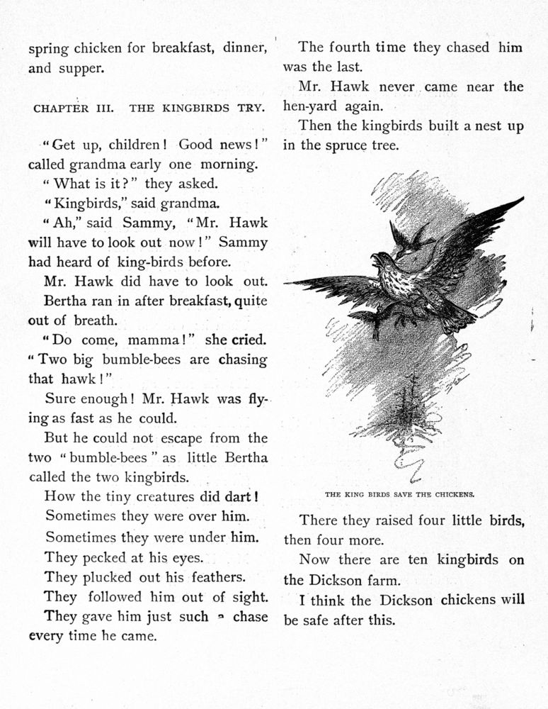 Scan 0031 of Bird tales