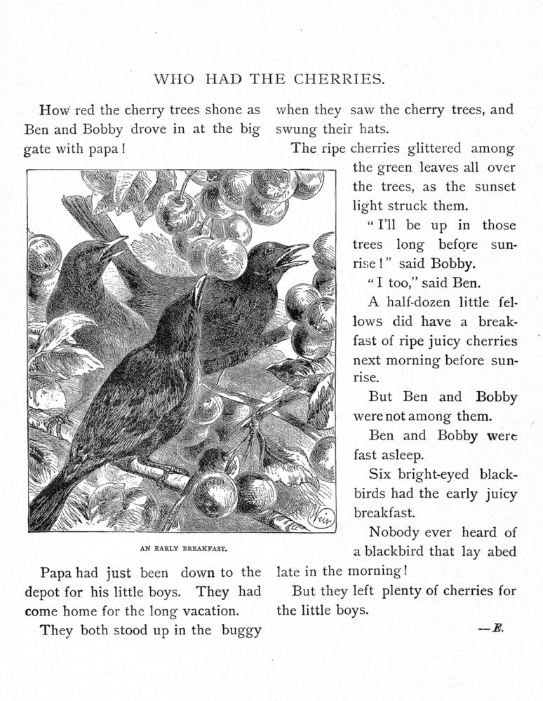 Scan 0033 of Bird tales