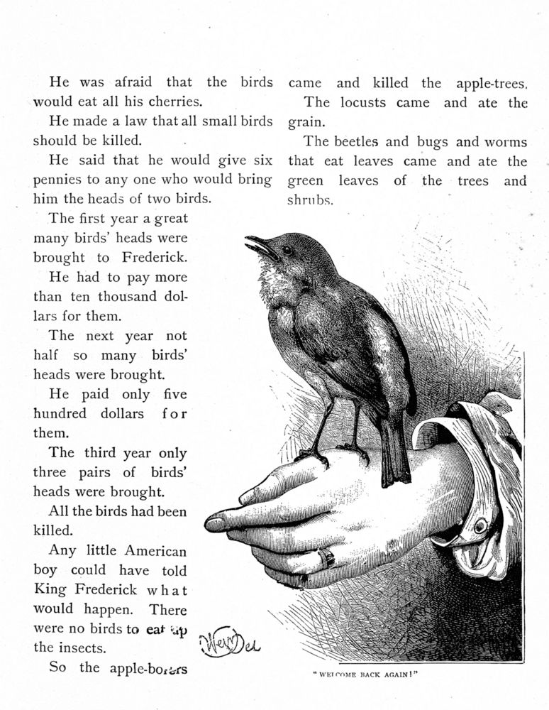 Scan 0038 of Bird tales