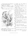 Thumbnail 0064 of Bird tales