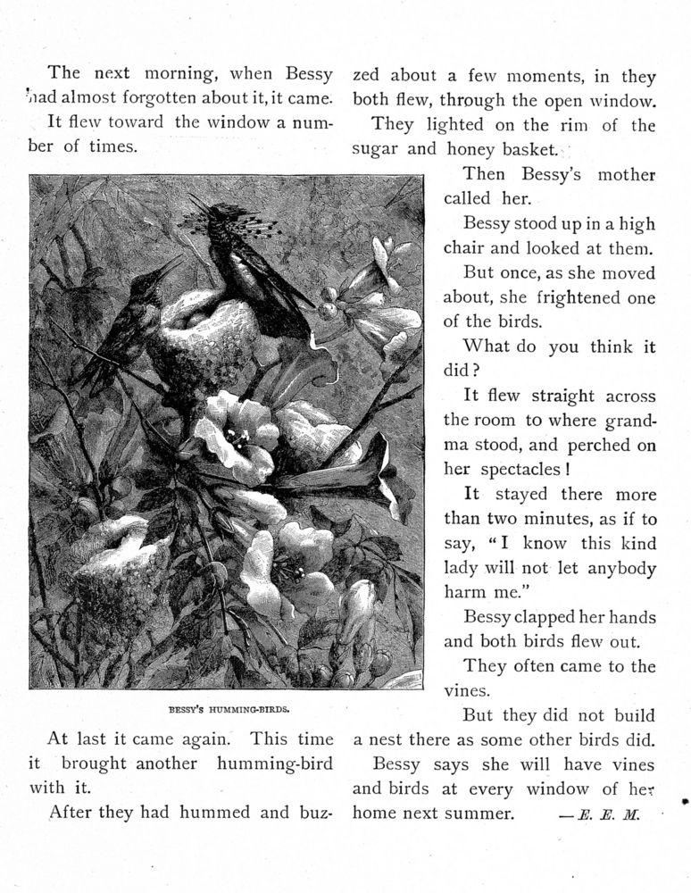 Scan 0078 of Bird tales