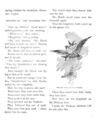 Thumbnail 0029 of Bird tales