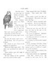 Thumbnail 0040 of Bird tales