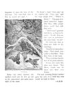 Thumbnail 0082 of Bird tales