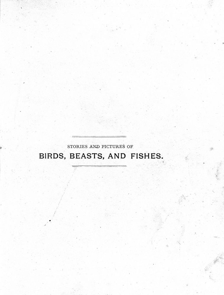 Scan 0005 of Stories and pictures of birds, beasts, fishes, and other creatures