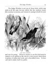 Thumbnail 0032 of Stories and pictures of birds, beasts, fishes, and other creatures