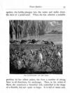 Thumbnail 0036 of Stories and pictures of birds, beasts, fishes, and other creatures