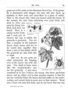 Thumbnail 0092 of Stories and pictures of birds, beasts, fishes, and other creatures