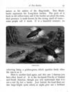 Thumbnail 0098 of Stories and pictures of birds, beasts, fishes, and other creatures
