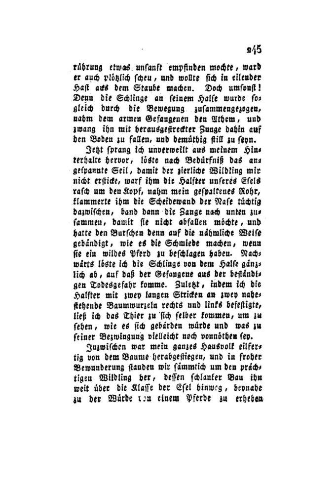 Scan 0252 of Der Schweizerische Robinson oder der schiffbrüchige Schweizer-Prediger und seine Familie (Band 2)